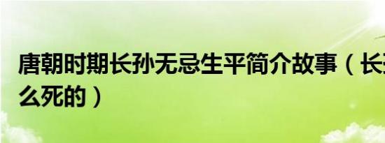 唐朝时期长孙无忌生平简介故事（长孙无忌怎么死的）