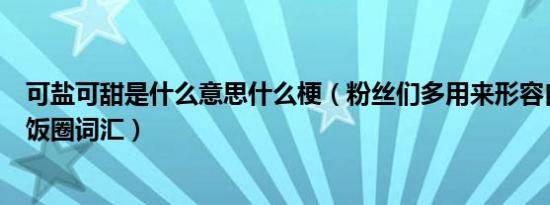 可盐可甜是什么意思什么梗（粉丝们多用来形容自己爱豆的饭圈词汇）