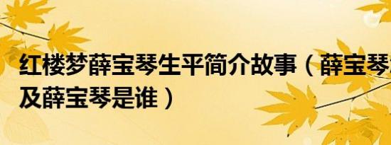 红楼梦薛宝琴生平简介故事（薛宝琴怎么死的及薛宝琴是谁）