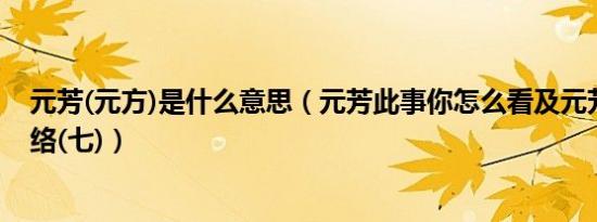 元芳(元方)是什么意思（元芳此事你怎么看及元芳体爆红网络(七)）