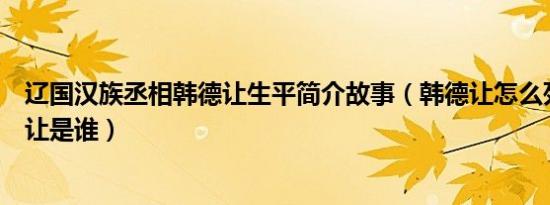 辽国汉族丞相韩德让生平简介故事（韩德让怎么死的及韩德让是谁）