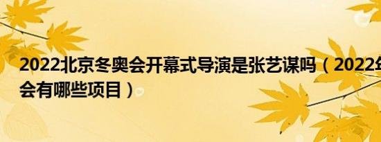 2022北京冬奥会开幕式导演是张艺谋吗（2022年北京冬奥会有哪些项目）