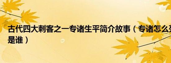 古代四大刺客之一专诸生平简介故事（专诸怎么死的及专诸是谁）