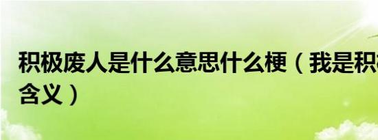 积极废人是什么意思什么梗（我是积极废人的含义）