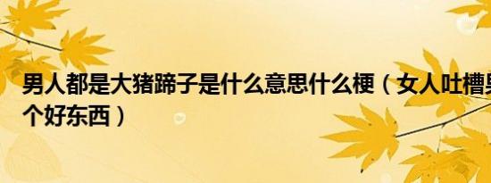 男人都是大猪蹄子是什么意思什么梗（女人吐槽男人没有一个好东西）