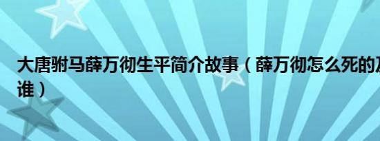 大唐驸马薛万彻生平简介故事（薛万彻怎么死的及薛万彻是谁）