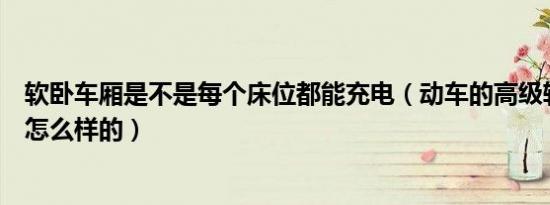 软卧车厢是不是每个床位都能充电（动车的高级软卧车厢是怎么样的）