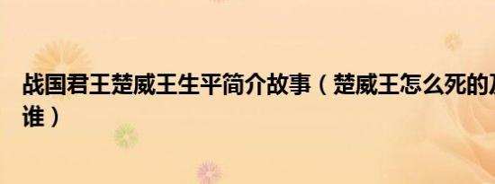 战国君王楚威王生平简介故事（楚威王怎么死的及楚威王是谁）