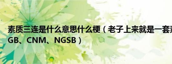 素质三连是什么意思什么梗（老子上来就是一套素质三连MGB、CNM、NGSB）