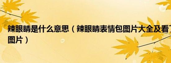 辣眼睛是什么意思（辣眼睛表情包图片大全及看了辣眼睛的图片）