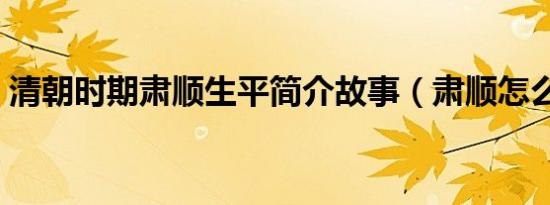 清朝时期肃顺生平简介故事（肃顺怎么死的）