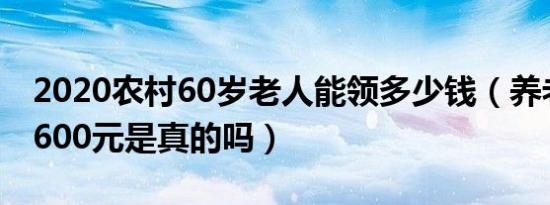 2020农村60岁老人能领多少钱（养老金上调600元是真的吗）