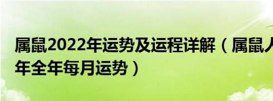 属鼠2022年运势及运程详解（属鼠人的2022年全年每月运势）