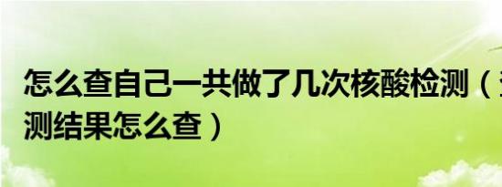 怎么查自己一共做了几次核酸检测（查核酸检测结果怎么查）