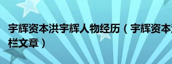 宇辉资本洪宇辉人物经历（宇辉资本洪宇辉专栏文章）