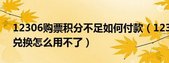 12306购票积分不足如何付款（12306积分兑换怎么用不了）