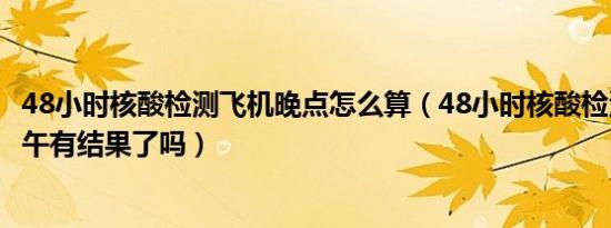 48小时核酸检测飞机晚点怎么算（48小时核酸检测上午做下午有结果了吗）