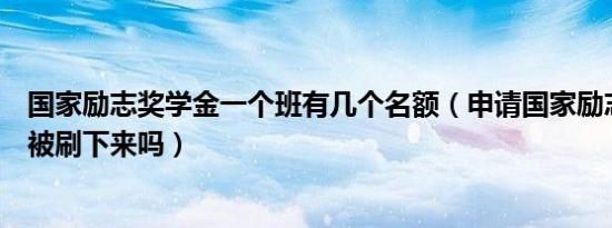 国家励志奖学金一个班有几个名额（申请国家励志奖学金会被刷下来吗）