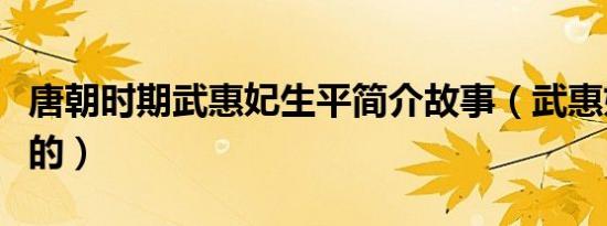 唐朝时期武惠妃生平简介故事（武惠妃怎么死的）