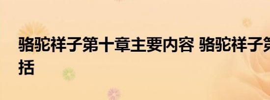 骆驼祥子第十章主要内容 骆驼祥子第十回概括 