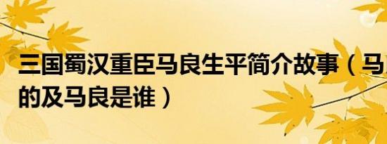 三国蜀汉重臣马良生平简介故事（马良怎么死的及马良是谁）