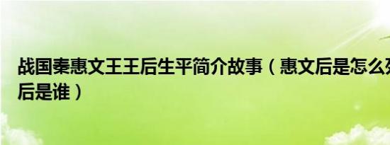 战国秦惠文王王后生平简介故事（惠文后是怎么死的及惠文后是谁）