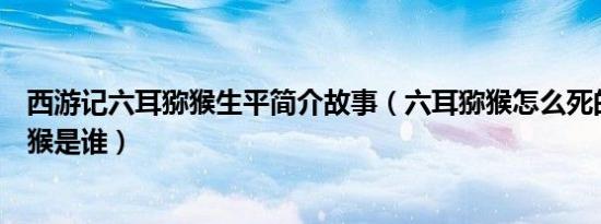 西游记六耳猕猴生平简介故事（六耳猕猴怎么死的及六耳猕猴是谁）