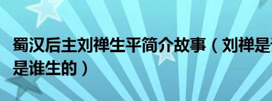 蜀汉后主刘禅生平简介故事（刘禅是谁及阿斗是谁生的）