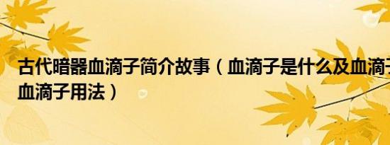 古代暗器血滴子简介故事（血滴子是什么及血滴子的由来及血滴子用法）