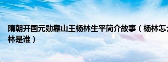 隋朝开国元勋靠山王杨林生平简介故事（杨林怎么死的及杨林是谁）