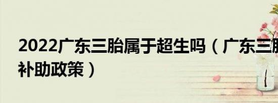 2022广东三胎属于超生吗（广东三胎有什么补助政策）