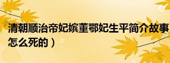 清朝顺治帝妃嫔董鄂妃生平简介故事（董鄂妃怎么死的）