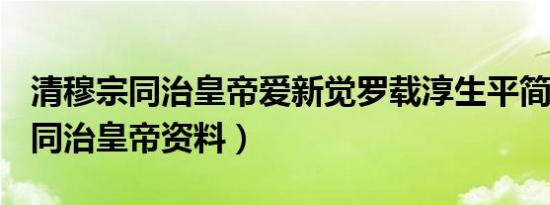 清穆宗同治皇帝爱新觉罗载淳生平简介故事（同治皇帝资料）