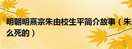 明朝明熹宗朱由校生平简介故事（朱由校是怎么死的）