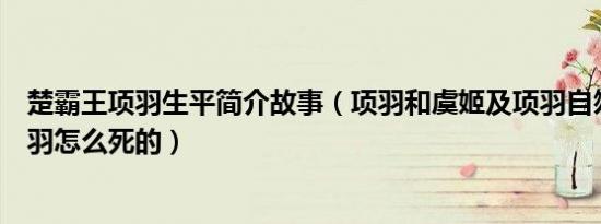 楚霸王项羽生平简介故事（项羽和虞姬及项羽自刎乌江及项羽怎么死的）