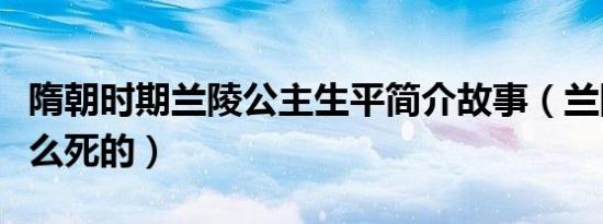 隋朝时期兰陵公主生平简介故事（兰陵公主怎么死的）