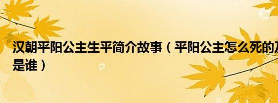 汉朝平阳公主生平简介故事（平阳公主怎么死的及平阳公主是谁）