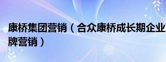 康桥集团营销（合众康桥成长期企业更需要品牌营销）