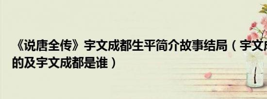 《说唐全传》宇文成都生平简介故事结局（宇文成都怎么死的及宇文成都是谁）