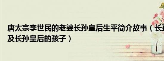 唐太宗李世民的老婆长孙皇后生平简介故事（长孙皇后是谁及长孙皇后的孩子）