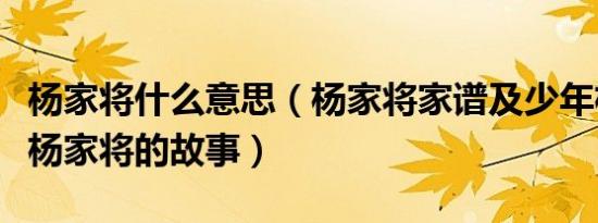 杨家将什么意思（杨家将家谱及少年杨家将及杨家将的故事）