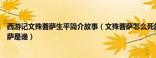 西游记文殊菩萨生平简介故事（文殊菩萨怎么死的及文殊菩萨是谁）