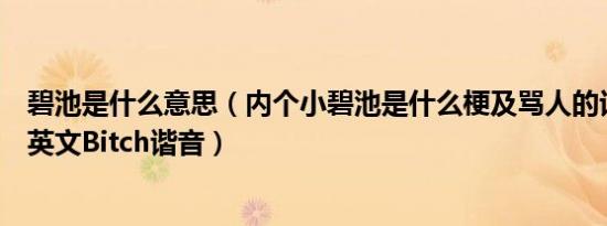 碧池是什么意思（内个小碧池是什么梗及骂人的话吗及碧池英文Bitch谐音）