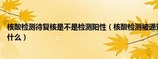 核酸检测待复核是不是检测阳性（核酸检测被通知复测说明什么）