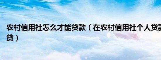 农村信用社怎么才能贷款（在农村信用社个人贷款10万怎么贷）