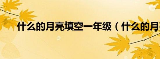 什么的月亮填空一年级（什么的月亮）