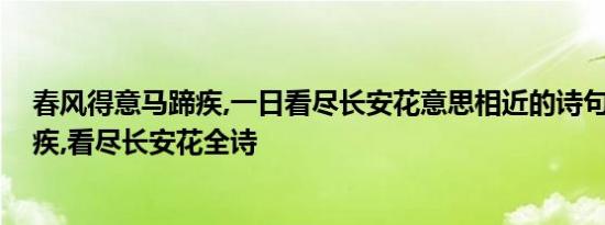 春风得意马蹄疾,一日看尽长安花意思相近的诗句 春风马蹄疾,看尽长安花全诗 