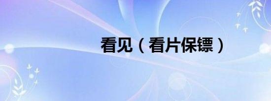 看见（看片保镖）