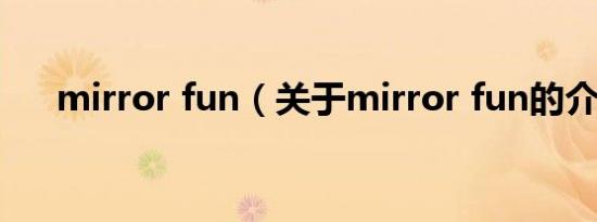 mirror fun（关于mirror fun的介绍）