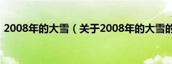 2008年的大雪（关于2008年的大雪的介绍）